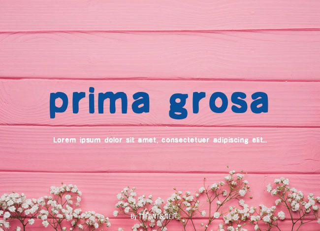 prima grosa example